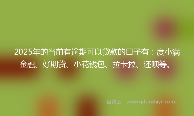 2025年的当前有逾期可以贷款的口子有：度小满金融、好期贷、小花钱包、拉卡拉、还呗等。
