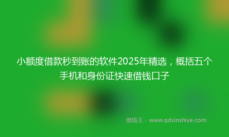 小额度借款秒到账的软件2025年精选，概括五个手机和身份证快速借钱口子
