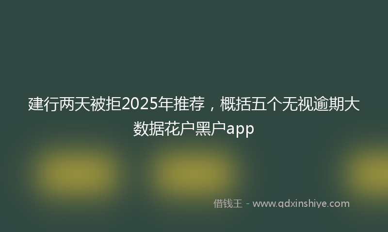 建行两天被拒2025年推荐，概括五个无视逾期大数据花户黑户app