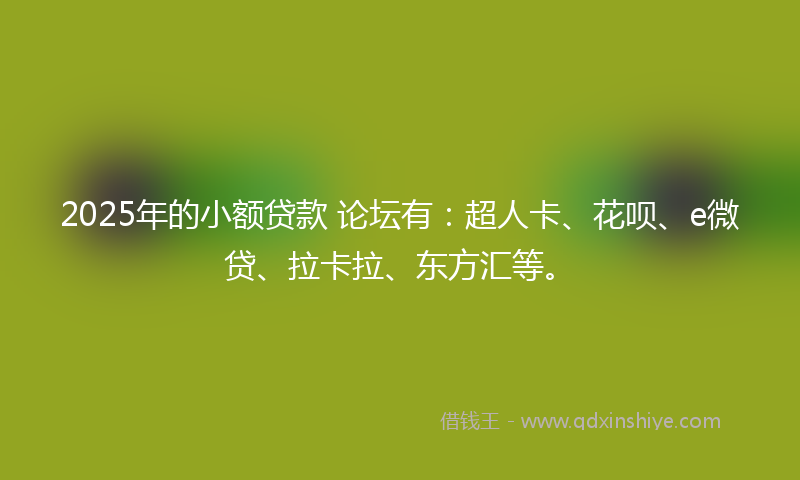 2025年的小额贷款 论坛有：超人卡、花呗、e微贷、拉卡拉、东方汇等。