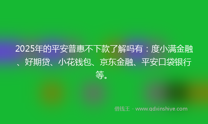 2025年的平安普惠不下款了解吗有：度小满金融、好期贷、小花钱包、京东金融、平安口袋银行等。