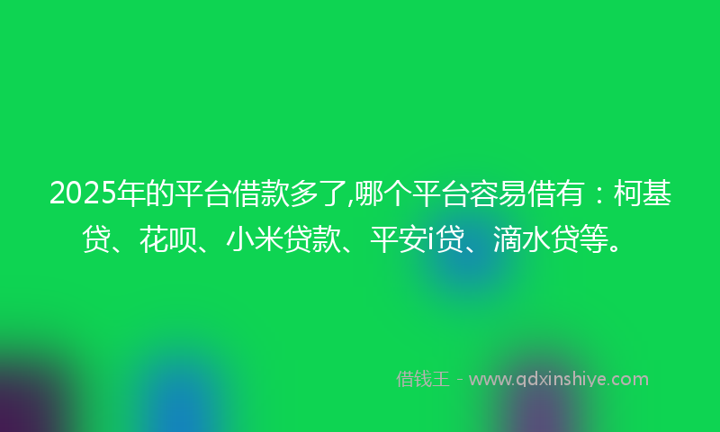 2025年的平台借款多了,哪个平台容易借有：柯基贷、花呗、小米贷款、平安i贷、滴水贷等。