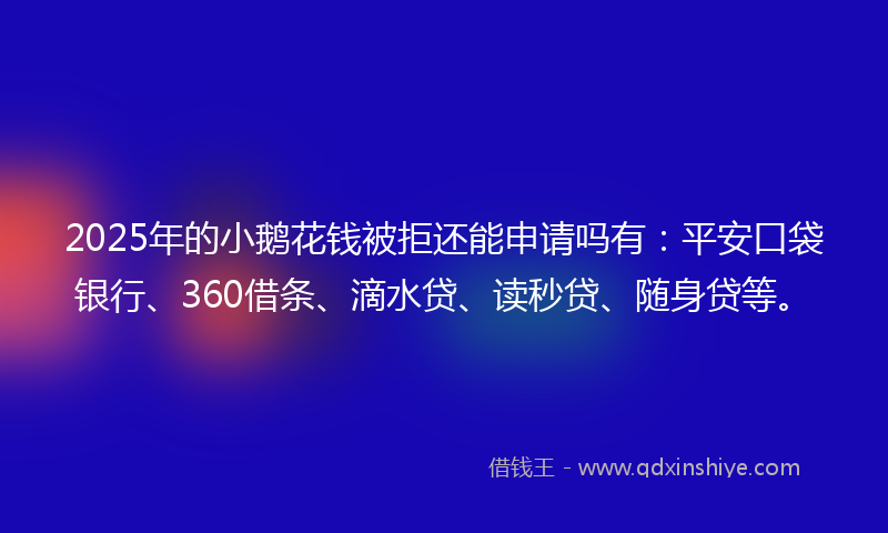 2025年的小鹅花钱被拒还能申请吗有：平安口袋银行、360借条、滴水贷、读秒贷、随身贷等。