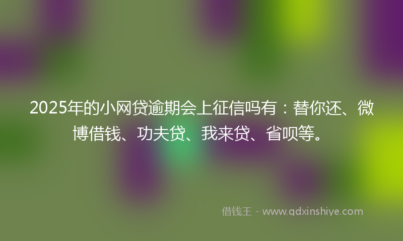 2025年的小网贷逾期会上征信吗有：替你还、微博借钱、功夫贷、我来贷、省呗等。