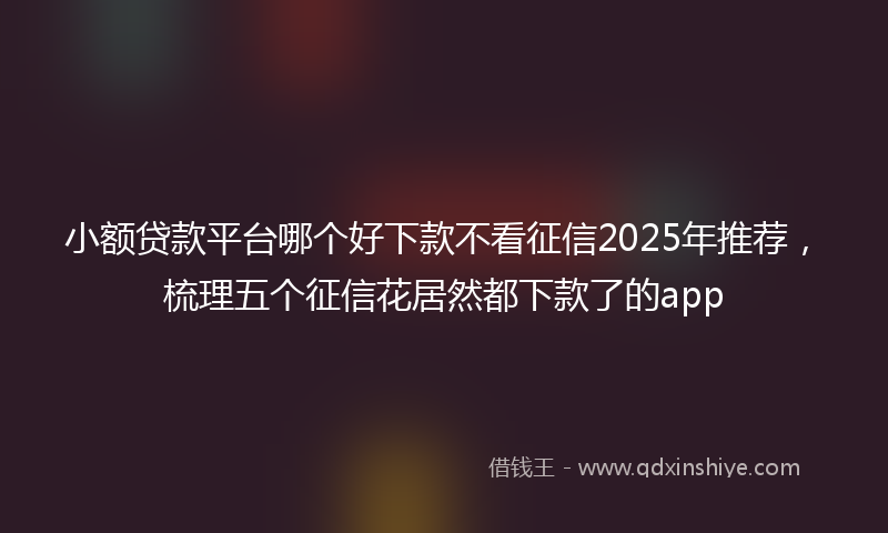 小额贷款平台哪个好下款不看征信2025年推荐，梳理五个征信花居然都下款了的app