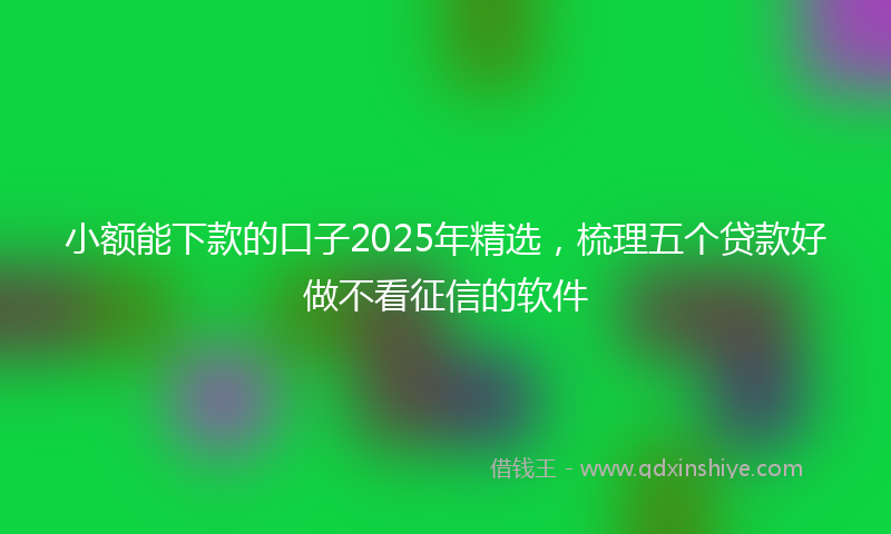 小额能下款的口子2025年精选，梳理五个贷款好做不看征信的软件
