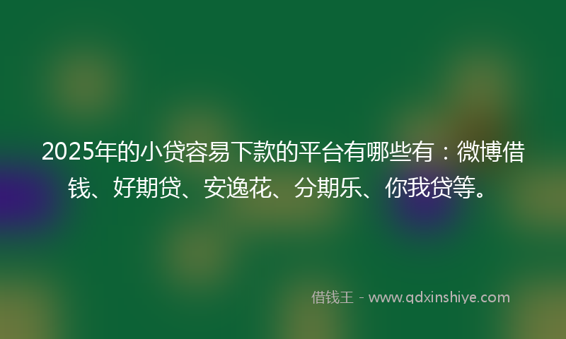 2025年的小贷容易下款的平台有哪些有：微博借钱、好期贷、安逸花、分期乐、你我贷等。