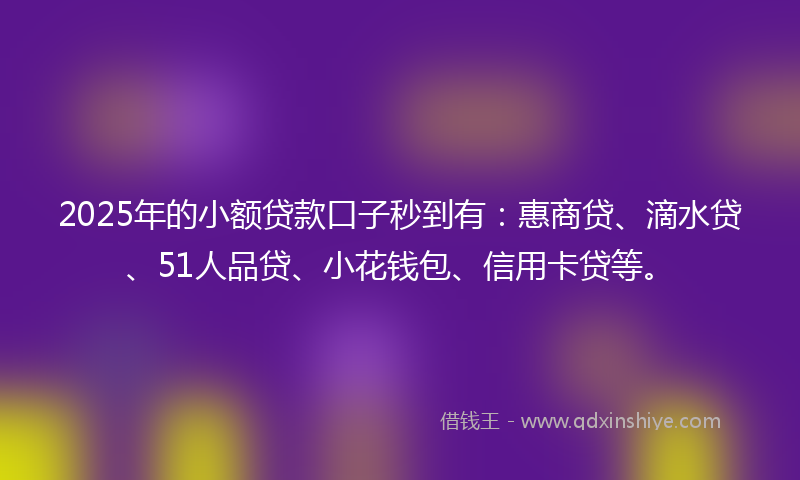 2025年的小额贷款口子秒到有：惠商贷、滴水贷、51人品贷、小花钱包、信用卡贷等。