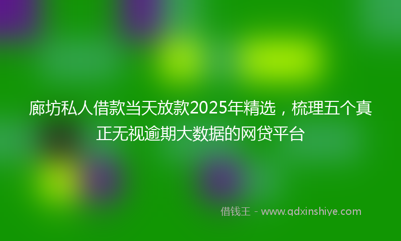 廊坊私人借款当天放款2025年精选，梳理五个真正无视逾期大数据的网贷平台