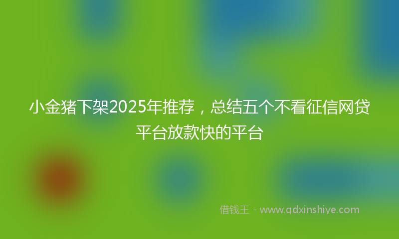 小金猪下架2025年推荐，总结五个不看征信网贷平台放款快的平台