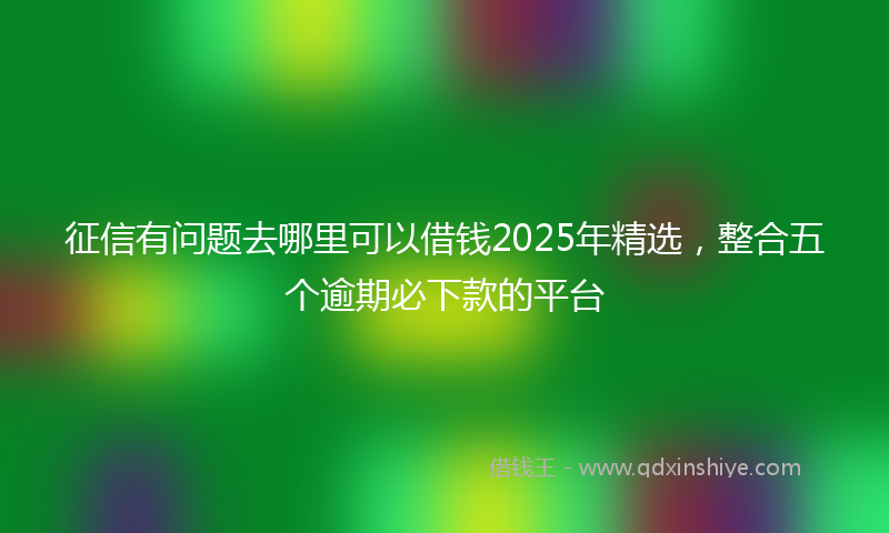 征信有问题去哪里可以借钱2025年精选，整合五个逾期必下款的平台
