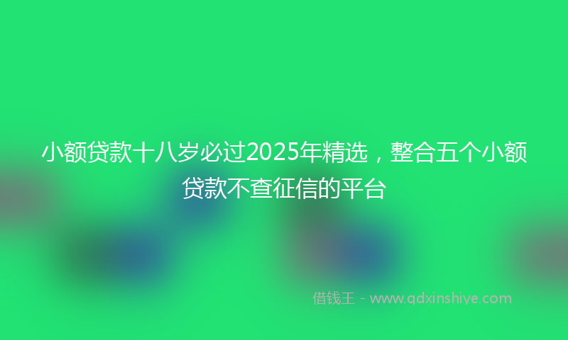 小额贷款十八岁必过2025年精选，整合五个小额贷款不查征信的平台
