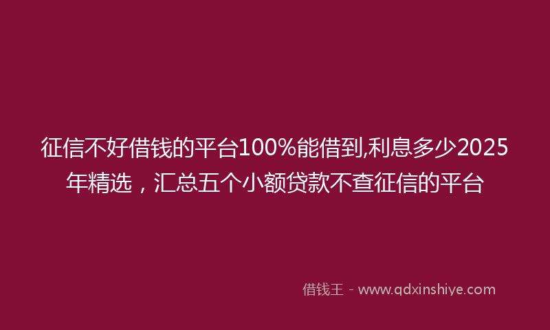 征信不好借钱的平台100%能借到,利息多少2025年精选，汇总五个小额贷款不查征信的平台
