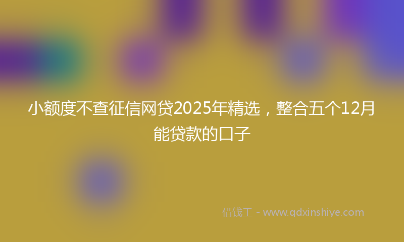 小额度不查征信网贷2025年精选，整合五个12月能贷款的口子