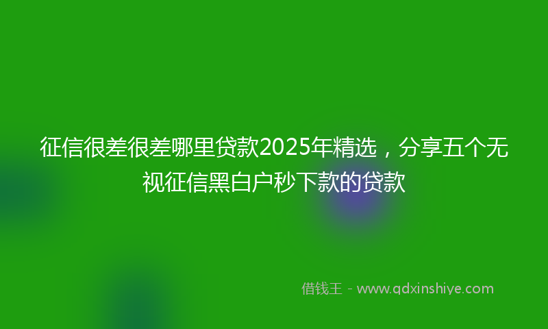 征信很差很差哪里贷款2025年精选，分享五个无视征信黑白户秒下款的贷款
