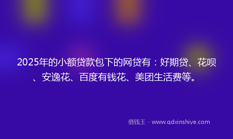 2025年的小额贷款包下的网贷有：好期贷、花呗、安逸花、百度有钱花、美团生活费等。