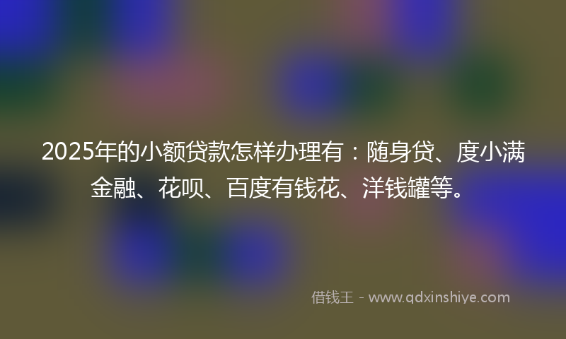2025年的小额贷款怎样办理有：随身贷、度小满金融、花呗、百度有钱花、洋钱罐等。