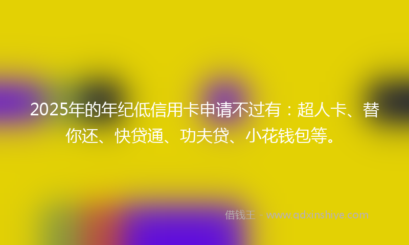 2025年的年纪低信用卡申请不过有：超人卡、替你还、快贷通、功夫贷、小花钱包等。