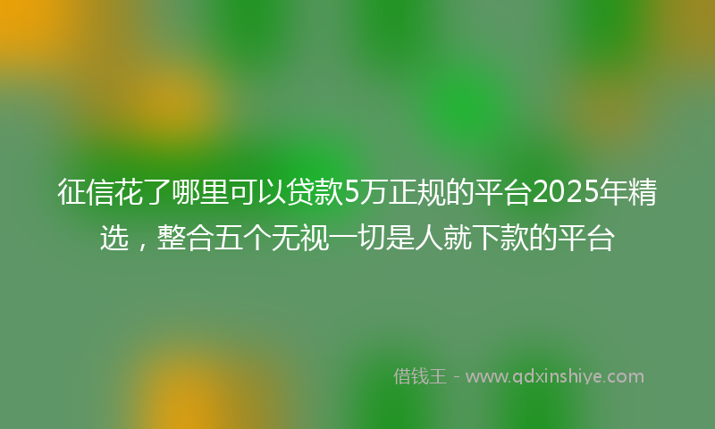 征信花了哪里可以贷款5万正规的平台2025年精选，整合五个无视一切是人就下款的平台