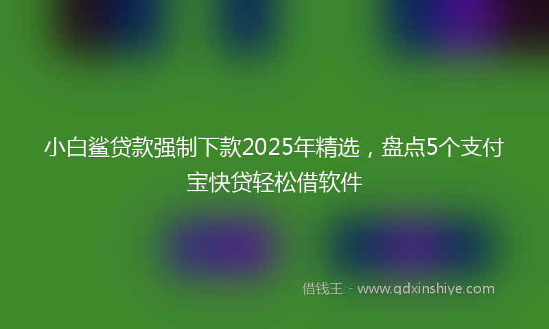 小白鲨贷款强制下款2025年精选，盘点5个支付宝快贷轻松借软件