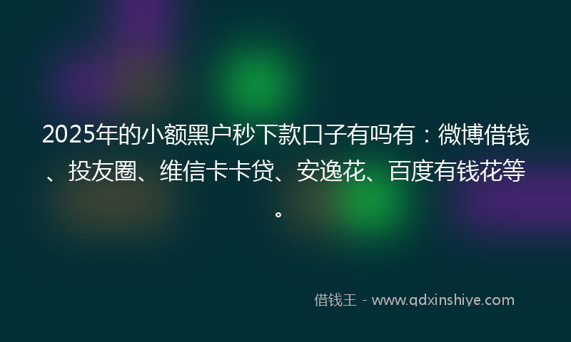 2025年的小额黑户秒下款口子有吗有：微博借钱、投友圈、维信卡卡贷、安逸花、百度有钱花等。