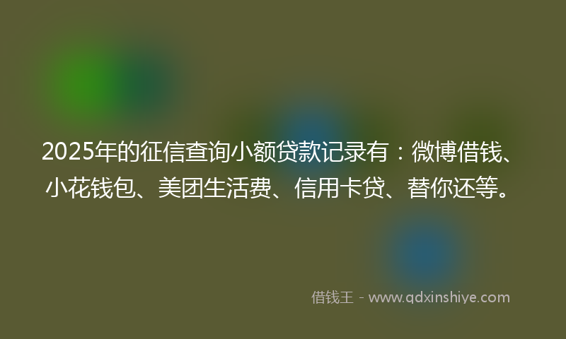 2025年的征信查询小额贷款记录有：微博借钱、小花钱包、美团生活费、信用卡贷、替你还等。