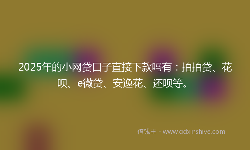 2025年的小网贷口子直接下款吗有：拍拍贷、花呗、e微贷、安逸花、还呗等。