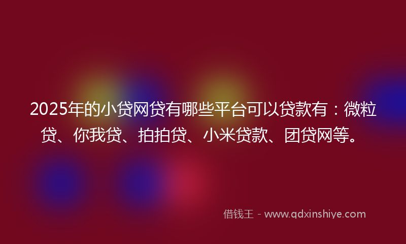 2025年的小贷网贷有哪些平台可以贷款有：微粒贷、你我贷、拍拍贷、小米贷款、团贷网等。