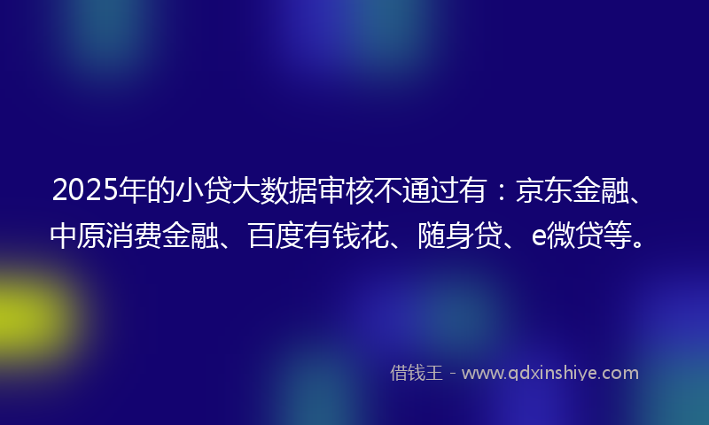 2025年的小贷大数据审核不通过有：京东金融、中原消费金融、百度有钱花、随身贷、e微贷等。