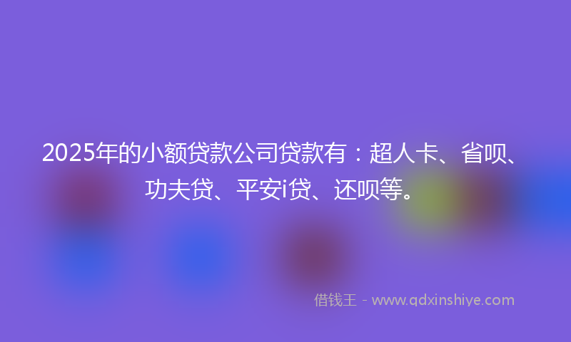 2025年的小额贷款公司贷款有：超人卡、省呗、功夫贷、平安i贷、还呗等。