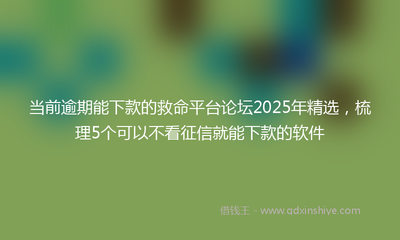 当前逾期能下款的救命平台论坛2025年精选，梳理5个可以不看征信就能下款的软件