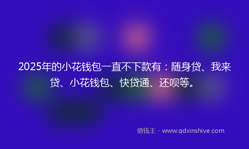 2025年的小花钱包一直不下款有：随身贷、我来贷、小花钱包、快贷通、还呗等。