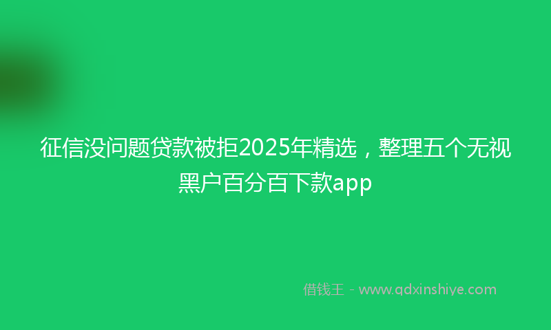 征信没问题贷款被拒2025年精选，整理五个无视黑户百分百下款app