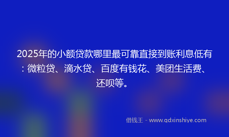 2025年的小额贷款哪里最可靠直接到账利息低有：微粒贷、滴水贷、百度有钱花、美团生活费、还呗等。