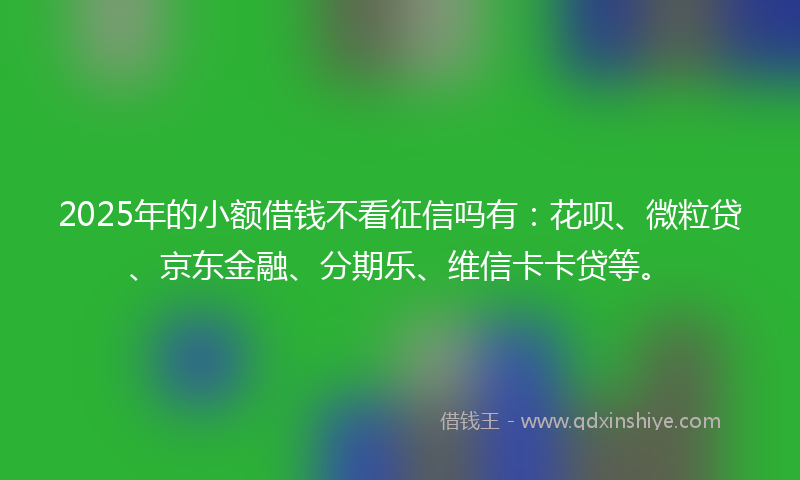 2025年的小额借钱不看征信吗有：花呗、微粒贷、京东金融、分期乐、维信卡卡贷等。