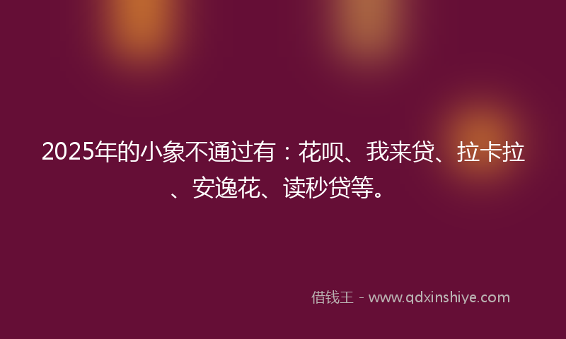 2025年的小象不通过有：花呗、我来贷、拉卡拉、安逸花、读秒贷等。