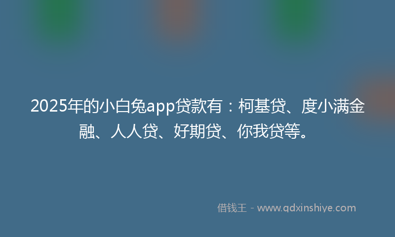 2025年的小白兔app贷款有：柯基贷、度小满金融、人人贷、好期贷、你我贷等。