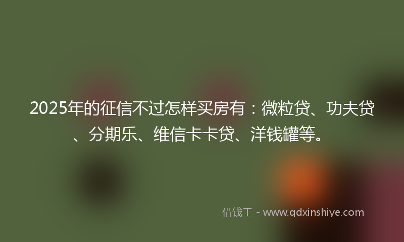 2025年的征信不过怎样买房有：微粒贷、功夫贷、分期乐、维信卡卡贷、洋钱罐等。