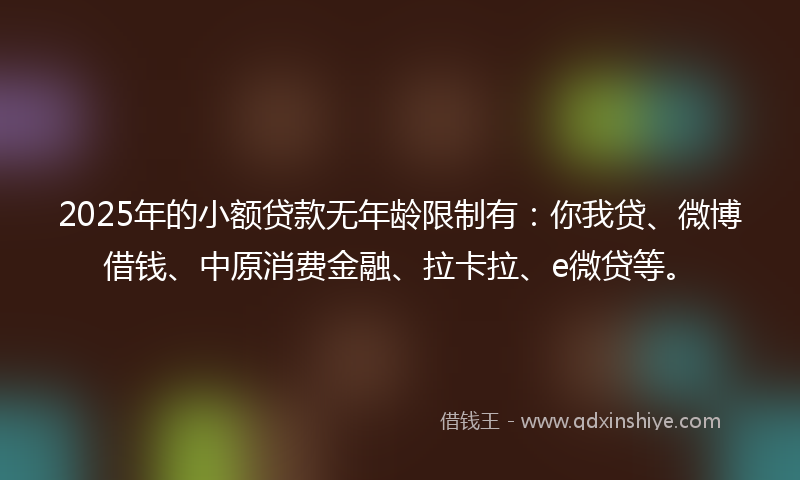 2025年的小额贷款无年龄限制有：你我贷、微博借钱、中原消费金融、拉卡拉、e微贷等。
