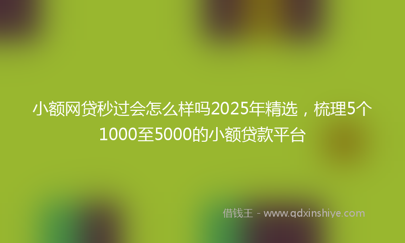 小额网贷秒过会怎么样吗2025年精选，梳理5个1000至5000的小额贷款平台