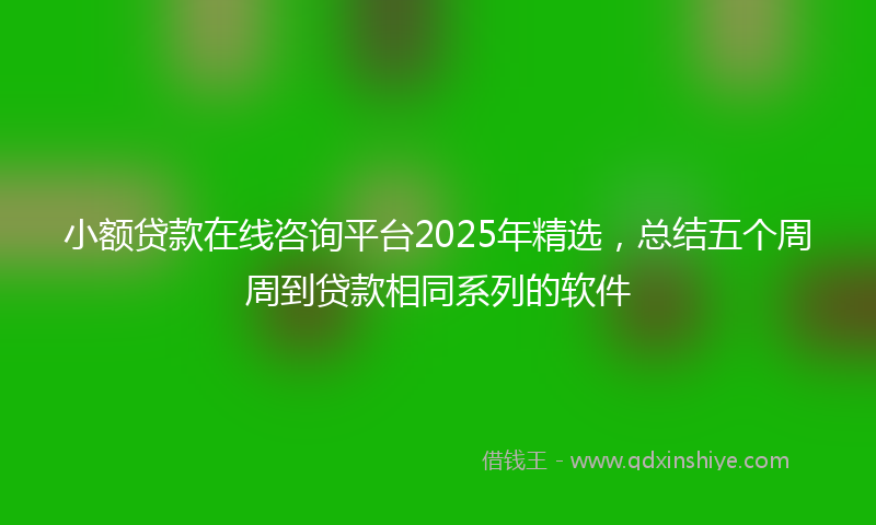 小额贷款在线咨询平台2025年精选，总结五个周周到贷款相同系列的软件