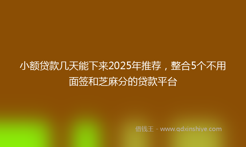 小额贷款几天能下来2025年推荐，整合5个不用面签和芝麻分的贷款平台