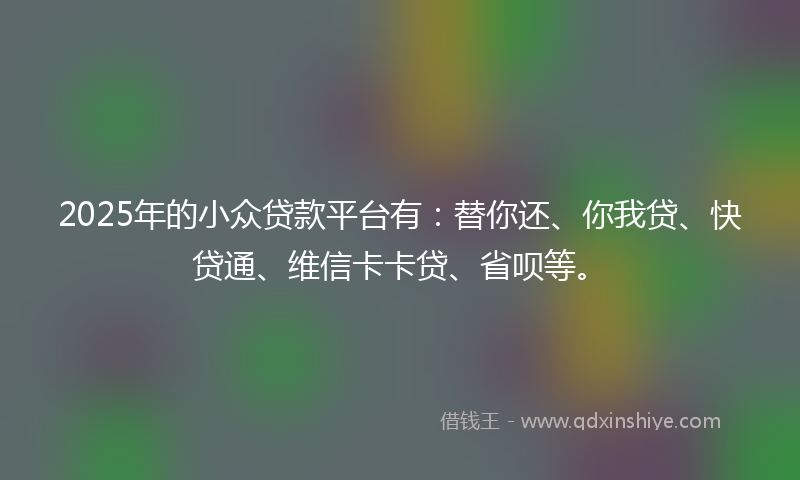 2025年的小众贷款平台有：替你还、你我贷、快贷通、维信卡卡贷、省呗等。