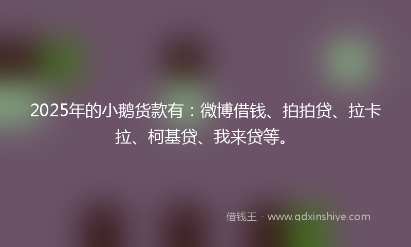 2025年的小鹅货款有：微博借钱、拍拍贷、拉卡拉、柯基贷、我来贷等。