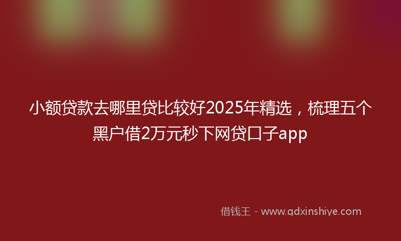小额贷款去哪里贷比较好2025年精选，梳理五个黑户借2万元秒下网贷口子app