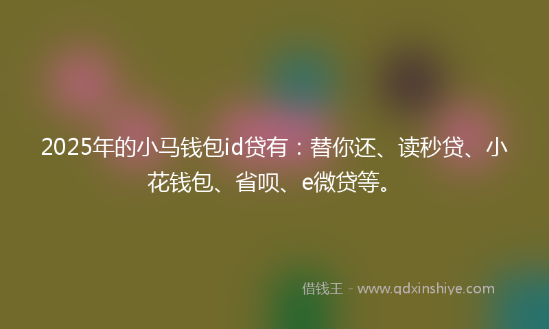 2025年的小马钱包id贷有：替你还、读秒贷、小花钱包、省呗、e微贷等。