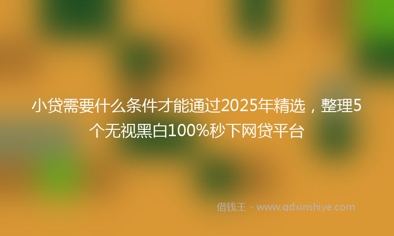 小贷需要什么条件才能通过2025年精选，整理5个无视黑白100%秒下网贷平台