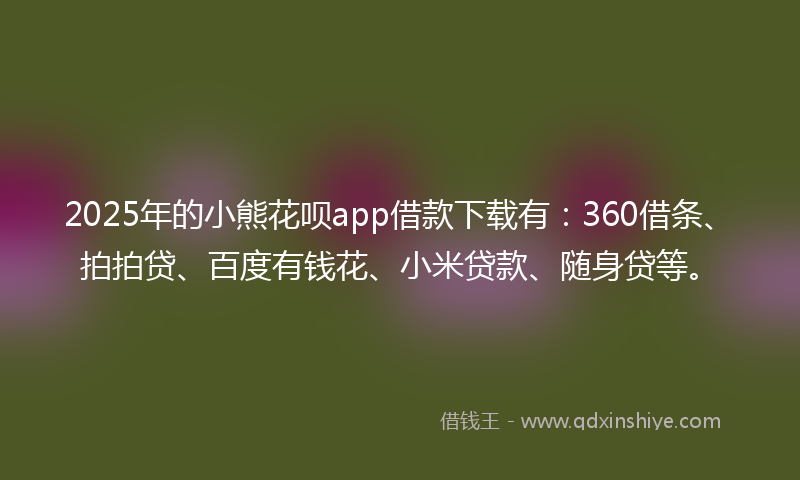 2025年的小熊花呗app借款下载有：360借条、拍拍贷、百度有钱花、小米贷款、随身贷等。