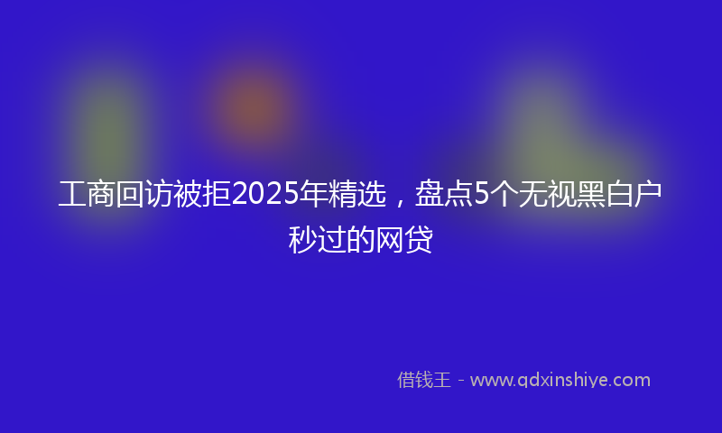 工商回访被拒2025年精选，盘点5个无视黑白户秒过的网贷