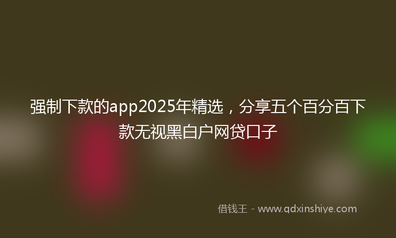 强制下款的app2025年精选，分享五个百分百下款无视黑白户网贷口子